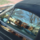Illustration for article titled This Porsche 968 Is Great, Great, Great